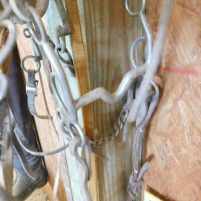 Collection of Leather Reins and Horse Tack Bits