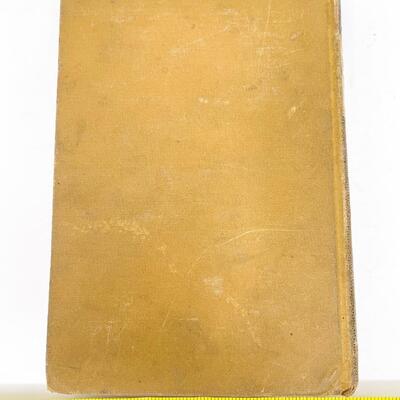 1800S â€œGREEN PASTURES AND PICCADILLYâ€ BY WILLIAM BLACK HARDBACK BOOK
