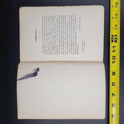 1901 CIVIL WAR & THE CONSTITUTION 1859 - 1865 VOL 1