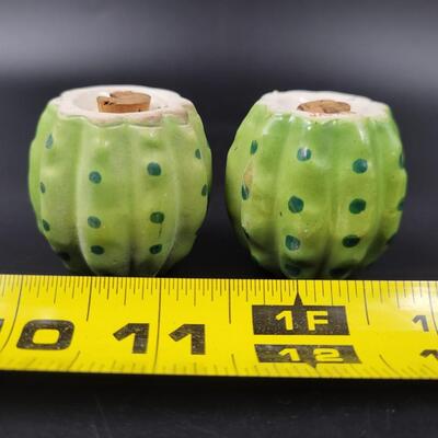ANTIQUE CACTUS JAPAN SALT & PEPPER SHAKERS