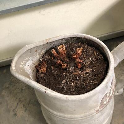 14 Pots for Indoor & Outdoor Gardening with Ceramic & More (G-JF)