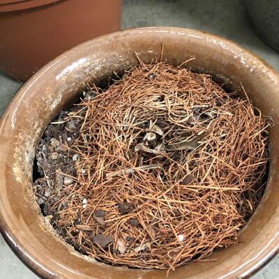 14 Pots for Indoor & Outdoor Gardening with Ceramic & More (G-JF)