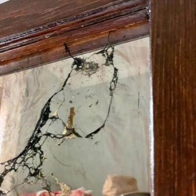 1875 Antique Dark Walnut Stain Mirrored Transom With Spiral Molding- PY11671