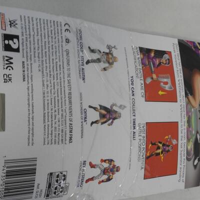 WWE Motu Chyna, Open, Missing Accessories
