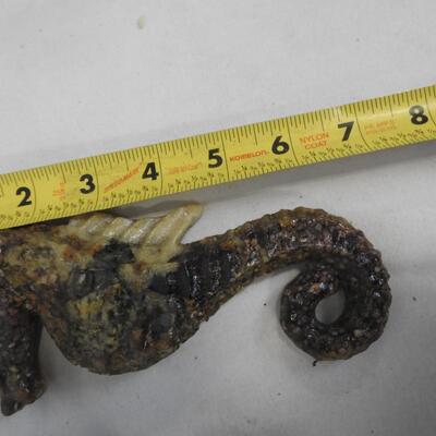 Seashells, Seahorse in Case, Trunk w/ Small Shells, Sand Dollars, Various Shapes