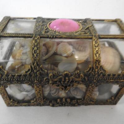 Seashells, Seahorse in Case, Trunk w/ Small Shells, Sand Dollars, Various Shapes