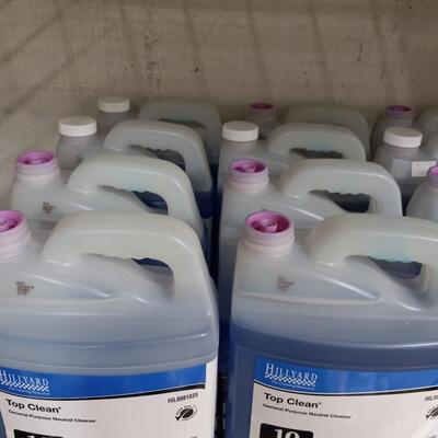 LOT 42A   COMMERCIAL "TOP CLEAN " CLEANER