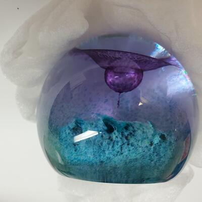 Caithness Glass Paperweight Signed