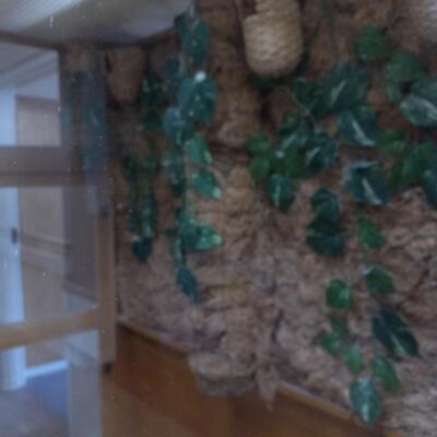 LOT 1N GLASS BIRDCAGE WITH STAINGLASS