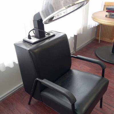 VENUS SALON CHAIR HAIRDRYER #2