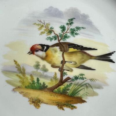 176 Pair of Sevres China Bird Plates