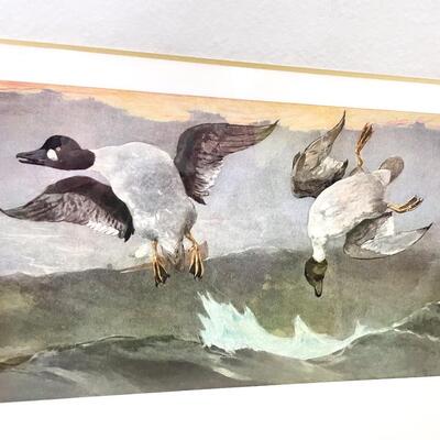 WINSLOW HOMER â€œRIGHT AND LEFTâ€ GEESE ART PRINT