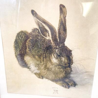 ALBRECHT DÃœRER â€œYOUNG HAREâ€ FRAMED ART PRINT