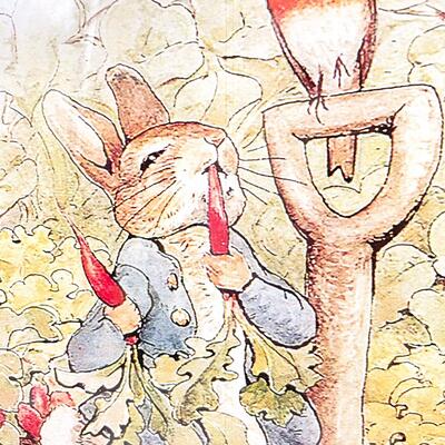 FRAMED PETER RABBIT ART PRINT