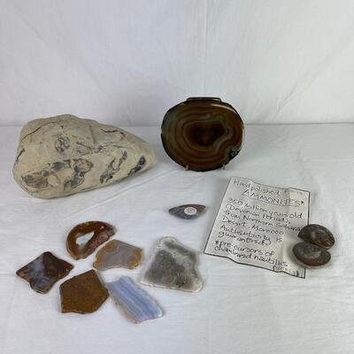 208. Fossiles/Agate/Ammonite Fossil Gemstone Set