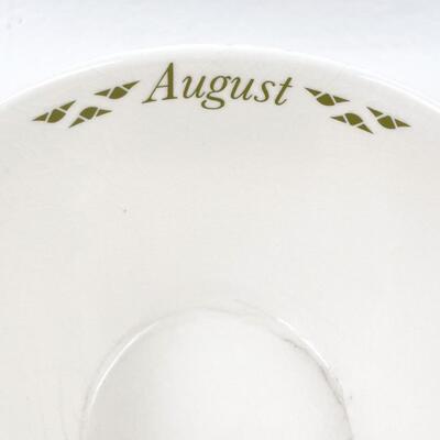 SPODE â€œAUGUSTâ€ FLOWER TEACUP & SAUCER SET