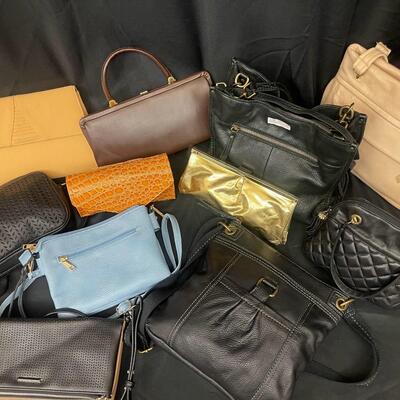 Purses / Handbags: 