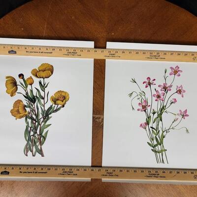 Art:4 Floral Prints;