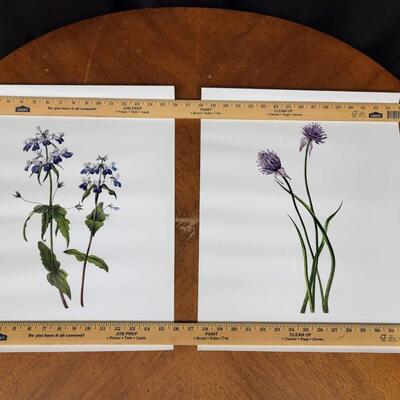 Art:4 Floral Prints;
