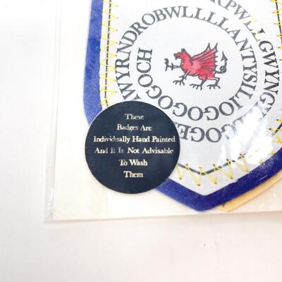 LLANFAIRPWLLGWYNGYLL, WALES - HAND-PAINTED SOUVENIR BADGE / PATCH