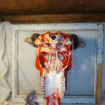 Hand Painted Cow skull