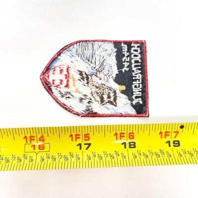 JUNGFRAUJOCH SWITZERLAND SOUVENIR BADGE/PATCH