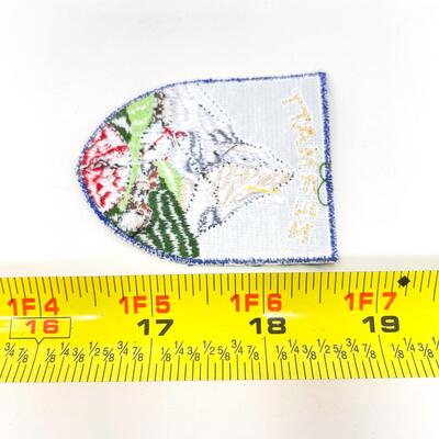 ZERMATT SWITZERLAND SOUVENIR BADGE/PATCH #18