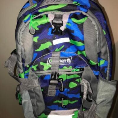 Purses / hangbags: Coleman blue/green camo bookbag;