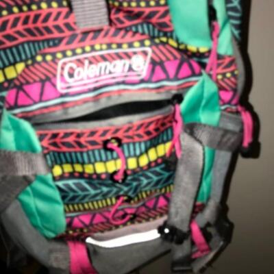 Purses / hangbags: Coleman multi colored bookbag;