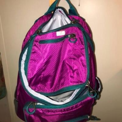 Purses / handbags: Purple bookbag;