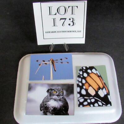 3 Pretty Small Photo Magnets by Fond du Lac Artist Aileen Andrews