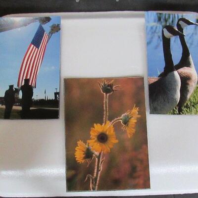 3 Small Photo Magnets by Fond du Lac Professional Photographer and Artist Aileen Andrews