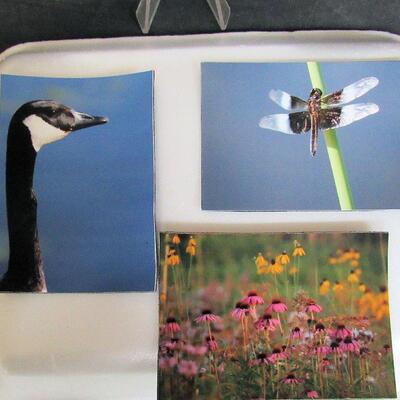 3 Small Photo Magnets by Professional Photographer and Artist Aileen Andrews of Fond du Lac