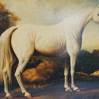 GICLEE PRINT OF WHITE EQUINE VINTAGE REPRODUCTION DRY MOUNTING