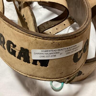 Morgan County Posse breast collars
