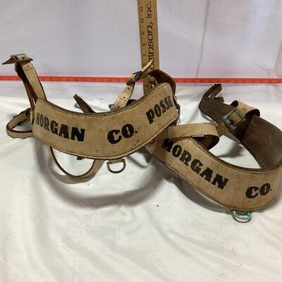 Morgan County Posse breast collars