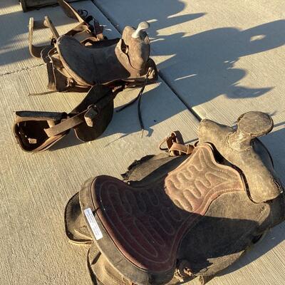 2 saddles