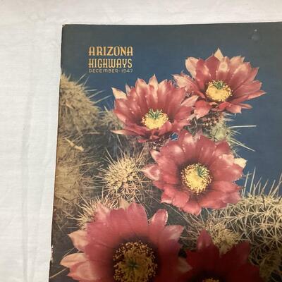 antique/vintage literature