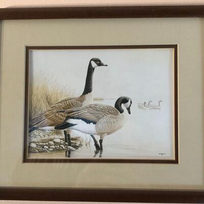 Heron and Least Bittern  Prints Signed