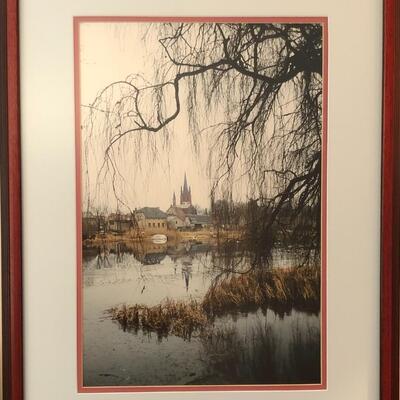 Waterside Village with Tree Framed Print