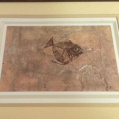 Series of Six Fossil Framed Prints
