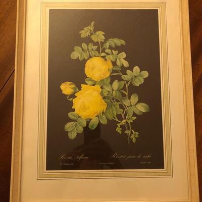Yellow Roses, Framed Print
