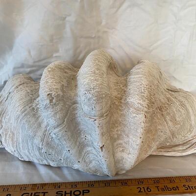 Decorative Shell