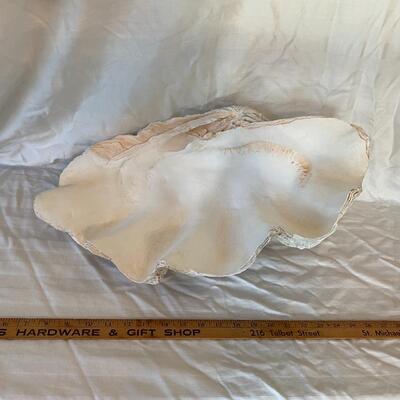 Decorative Shell