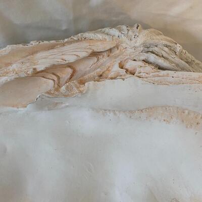Decorative Shell