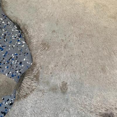 Cowhide Rug #1
