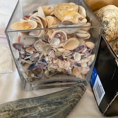 Shells