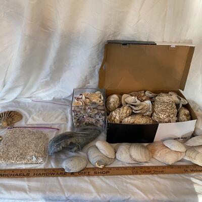 Shells