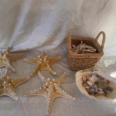 Starfish
