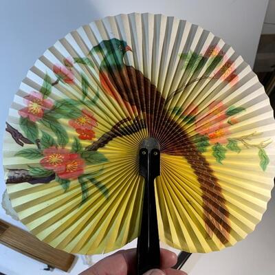 FAN COLLECTION